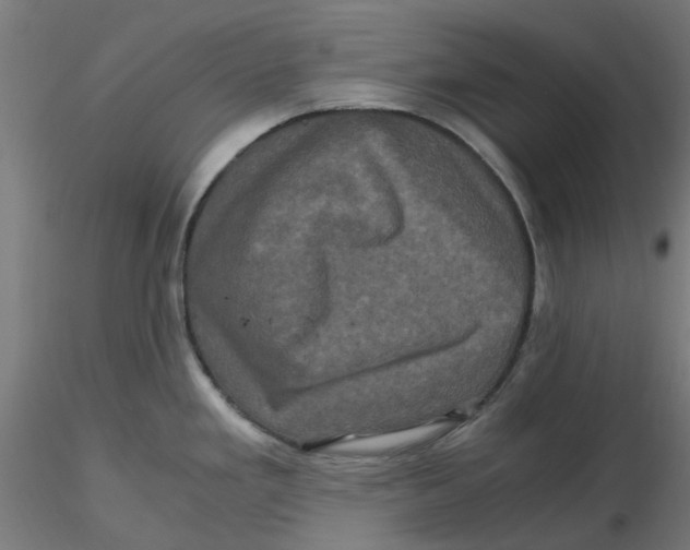 X0000116781293201001071229