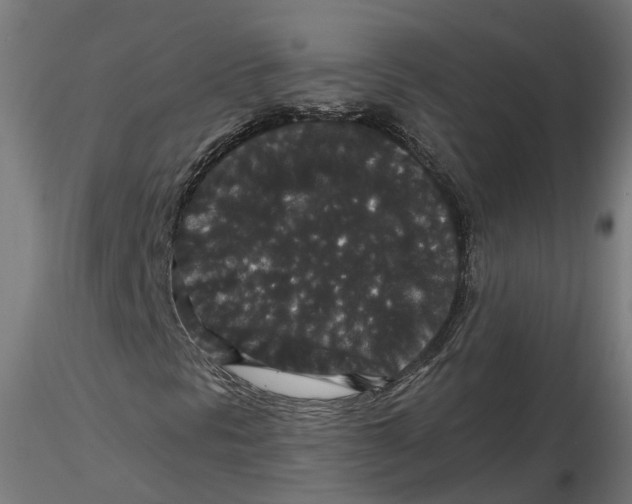 X0000116781297201001071228