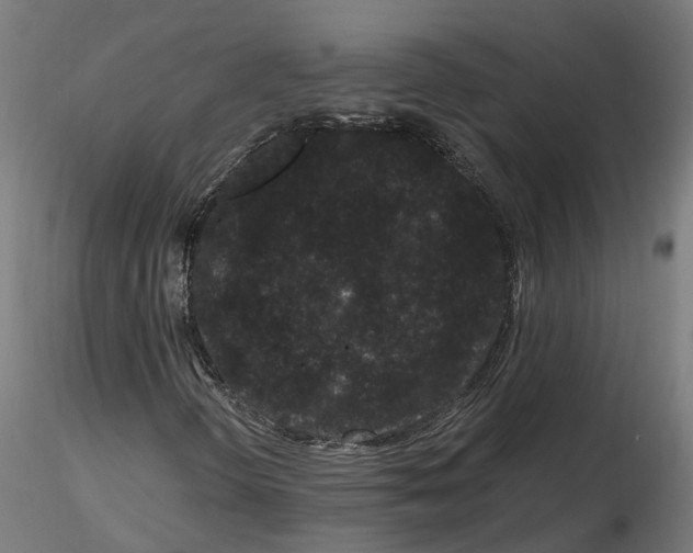 X0000116781298201001071228