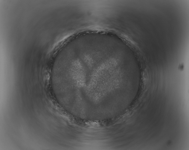 X0000116781302201001071228