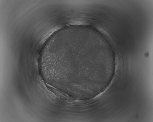 X0000116781305201001071229