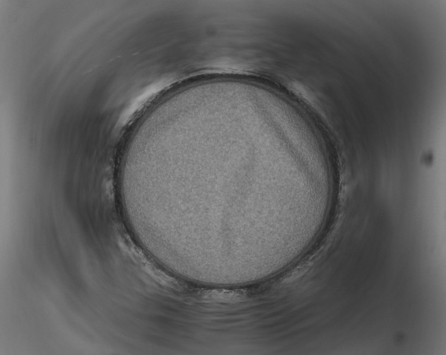 X0000116781307201001071229