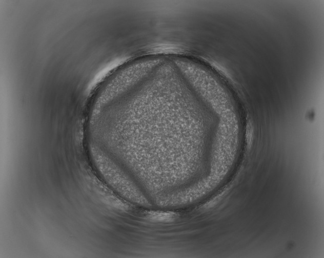 X0000116781309201001071229