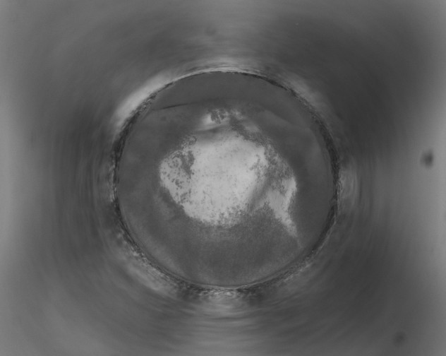 X0000116781310201001071229