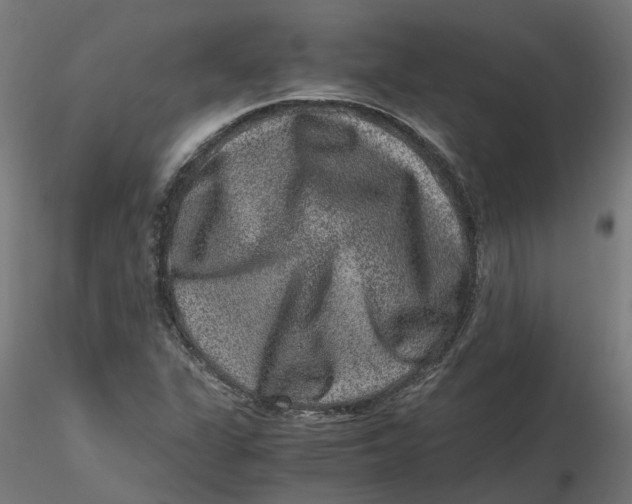 X0000116781311201001071229