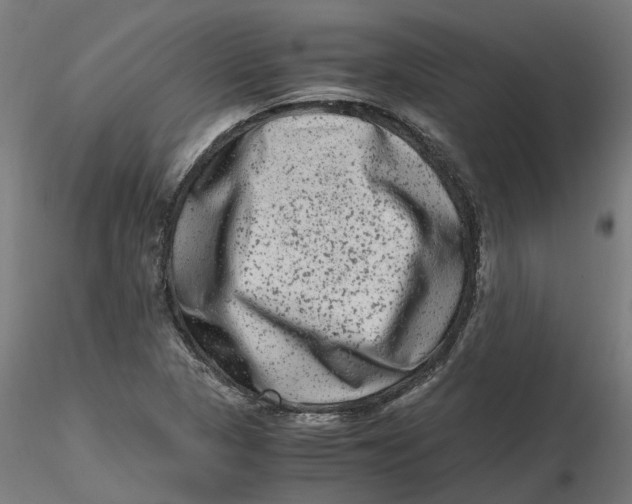 X0000116781313201001071229