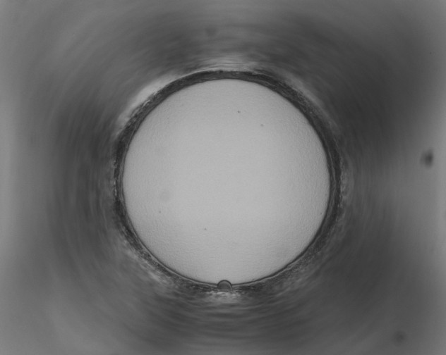 X0000116781315201001071229