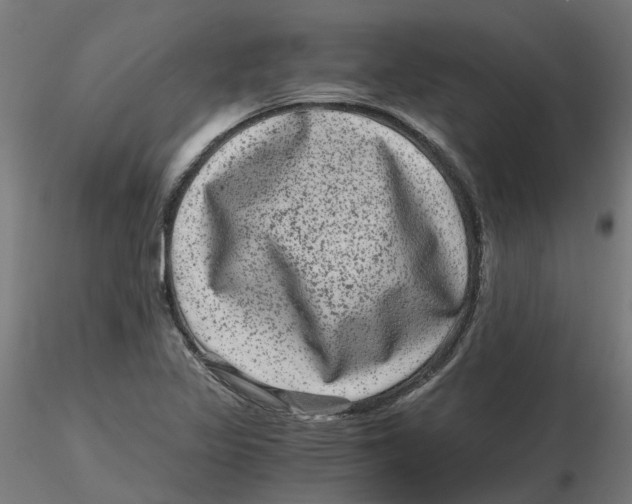 X0000116781317201001071229