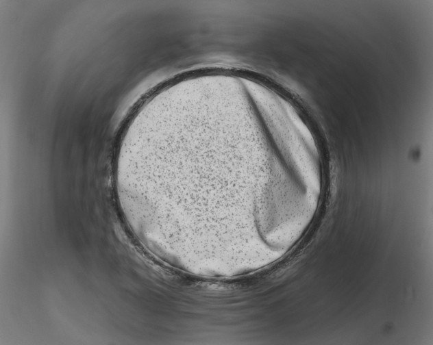 X0000116781318201001071229