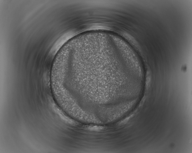 X0000116781321201001071229