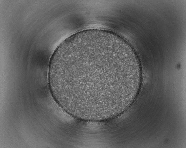 X0000116781322201001071229