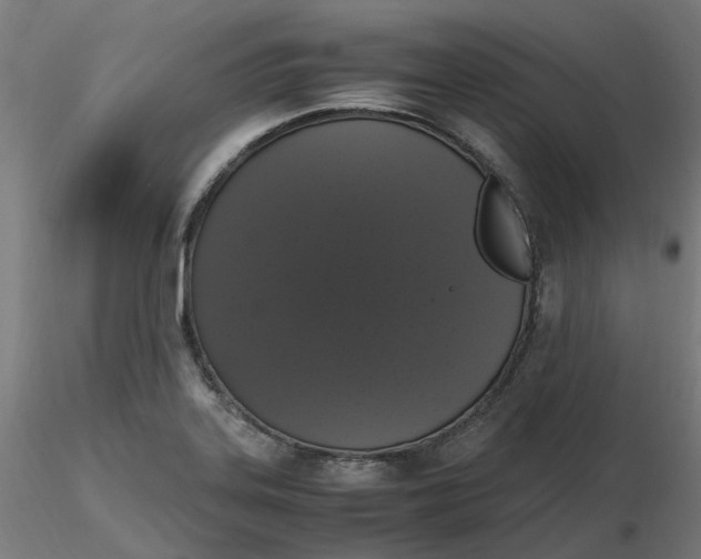 X0000116781323201001071229