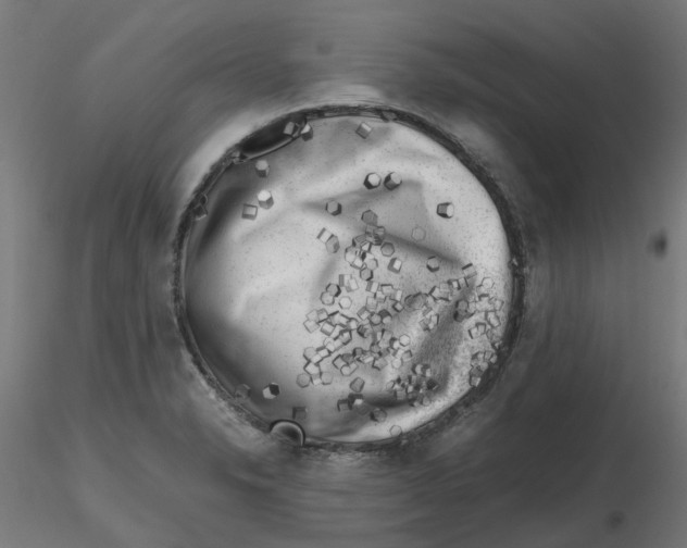 X0000116781326201001071229