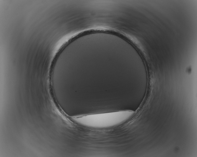 X0000116781327201001071229