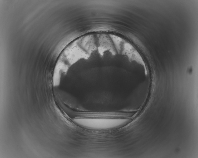 X0000116781329201001071229