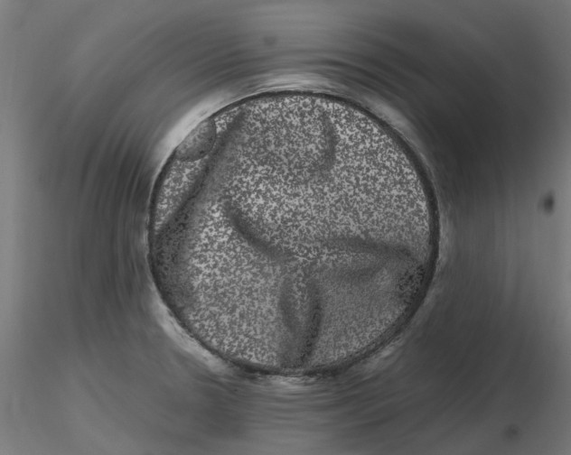 X0000116781330201001071229