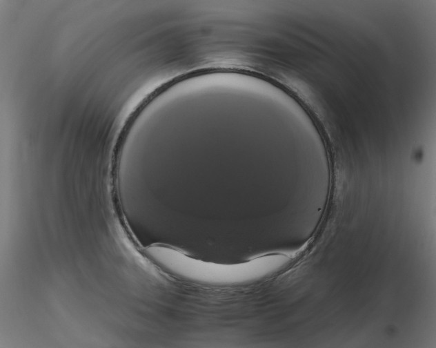 X0000116781331201001071229