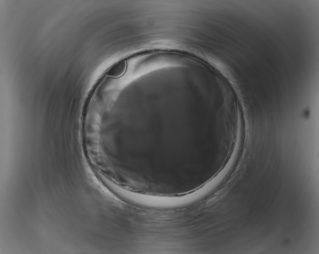 X0000116781334201001071229