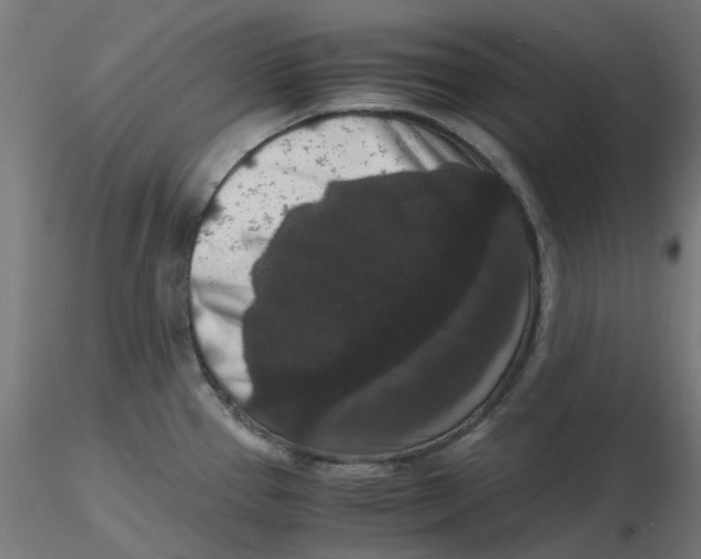 X0000116781337201001071229