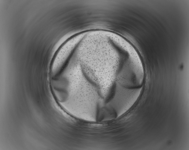 X0000116781339201001071229