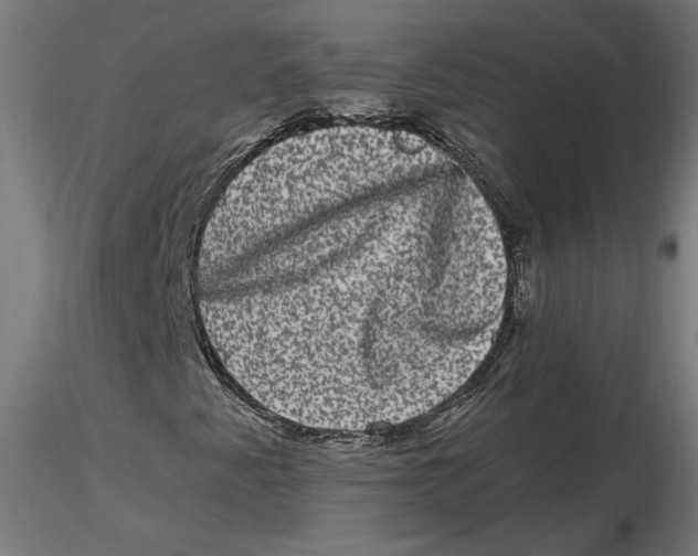 X0000116781345201001071228