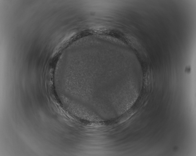 X0000116781346201001071228