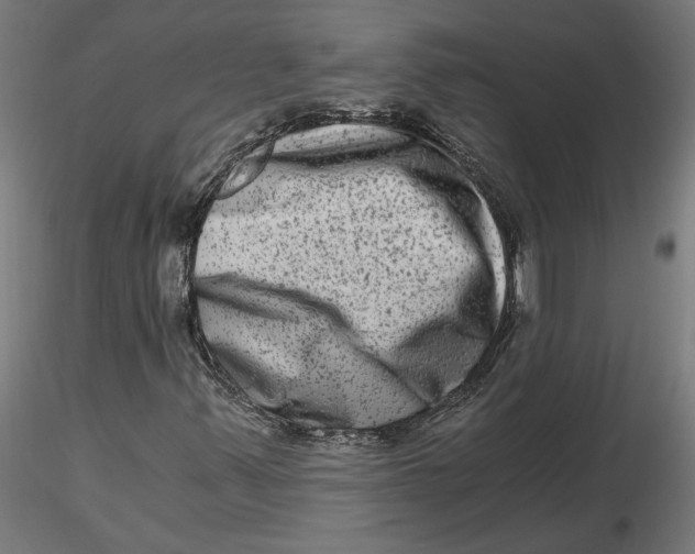 X0000116781347201001071228