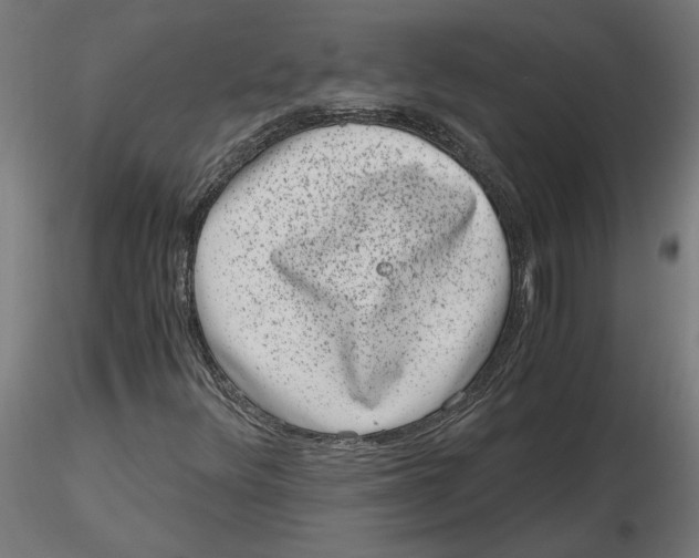 X0000116781348201001071228