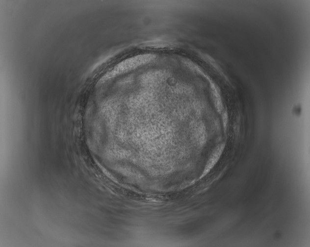 X0000116781350201001071228