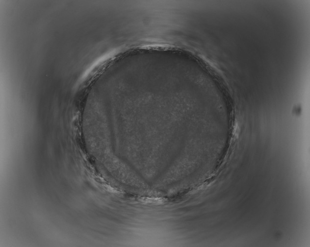 X0000116781351201001071228