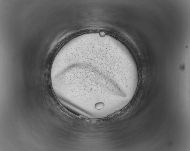 X0000116781352201001071228