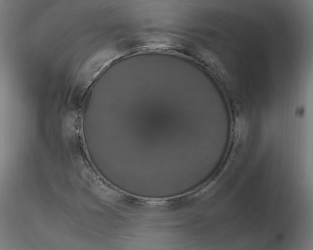 X0000116781353201001071228