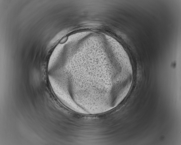 X0000116781354201001071228