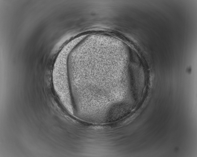 X0000116781355201001071228