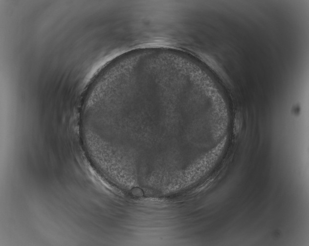 X0000116781356201001071228