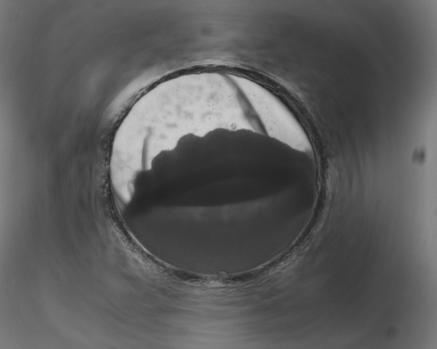 X0000116781359201001071228