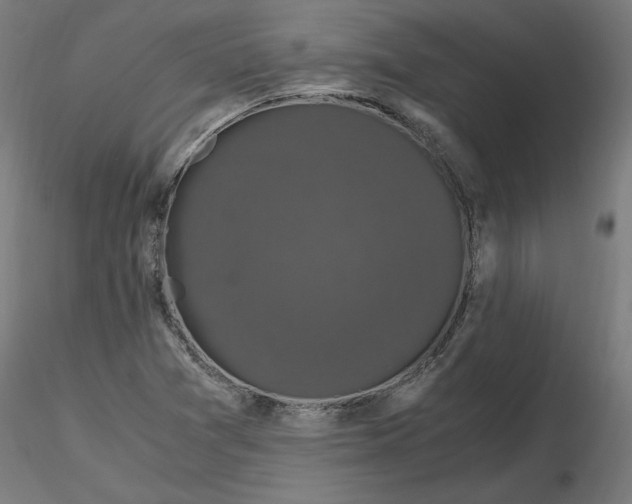 X0000116781361201001071228