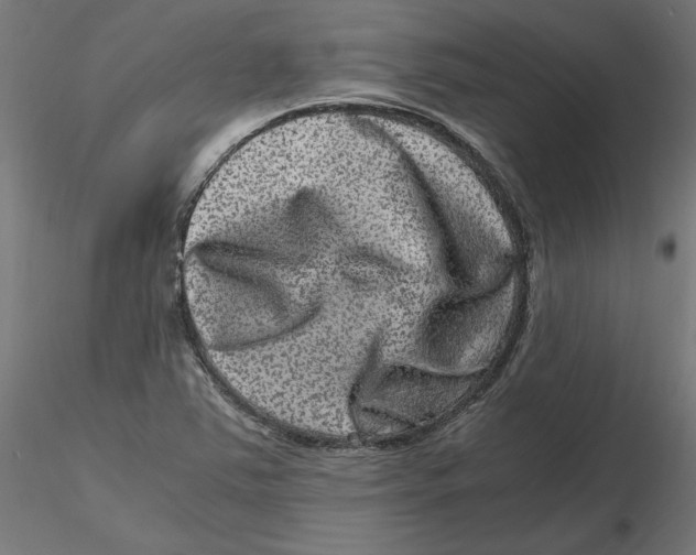 X0000116781363201001071228