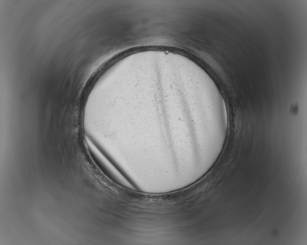 X0000116781364201001071228