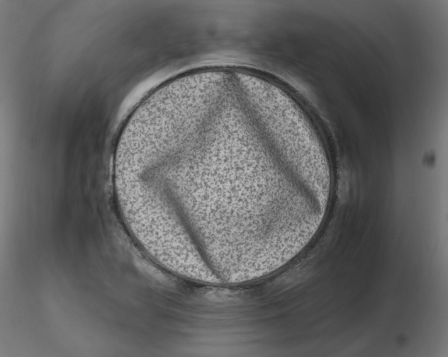 X0000116781366201001071228