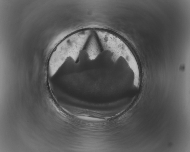 X0000116781367201001071228