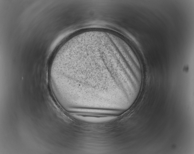 X0000116781368201001071228