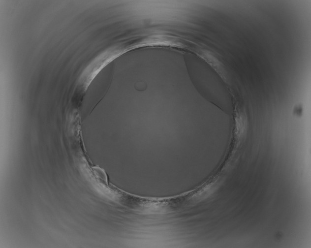 X0000116781369201001071228