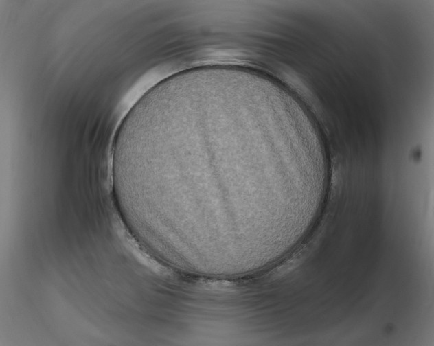 X0000116781370201001071228