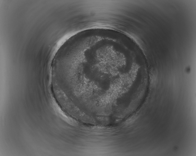 X0000116781371201001071228