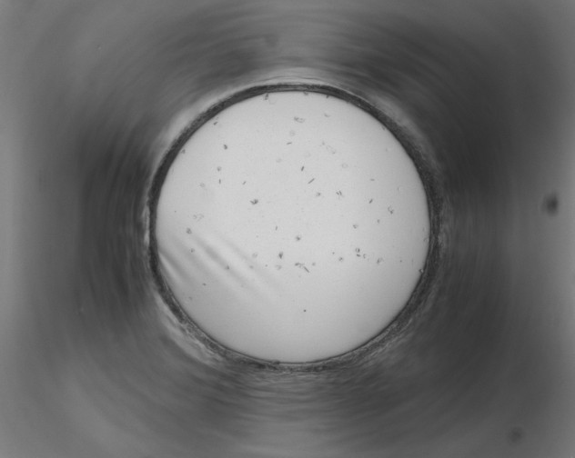 X0000116781372201001071228