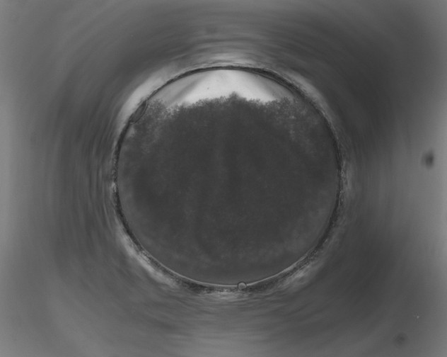 X0000116781373201001071228