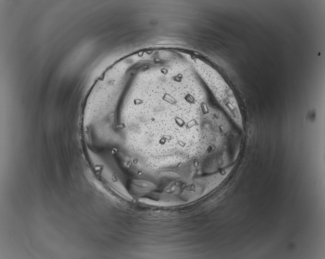 X0000116781374201001071228