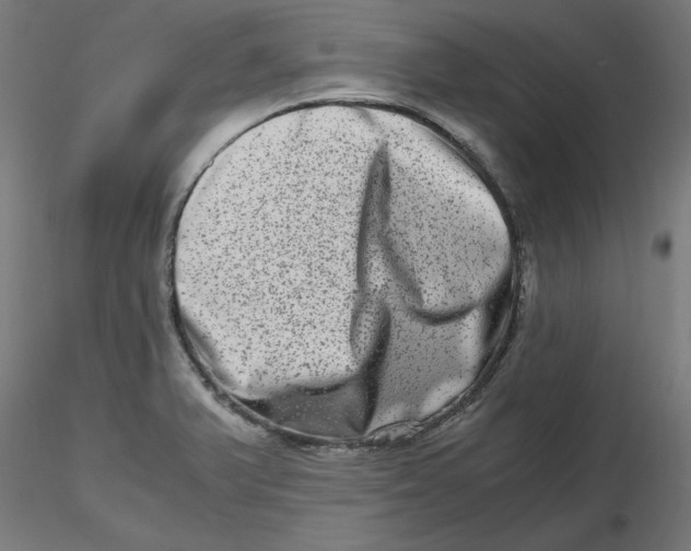 X0000116781375201001071228