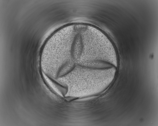 X0000116781376201001071228